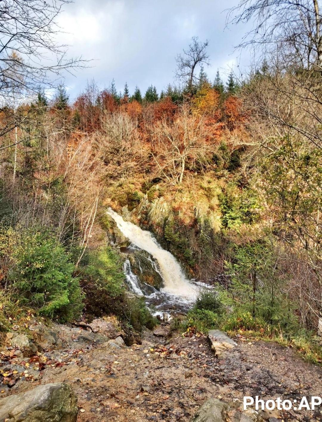 La Taniere Du Lac Robertville Luaran gambar
